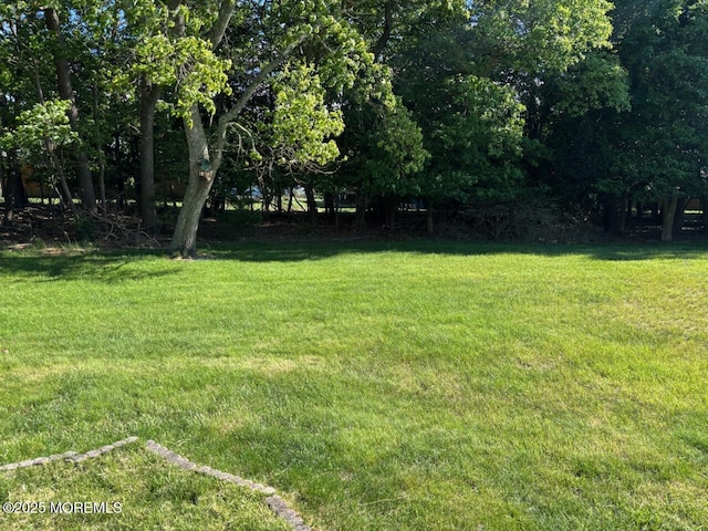 10 Monmouth Ln Unit B, Whiting, NJ 08759 - view of grassy yard