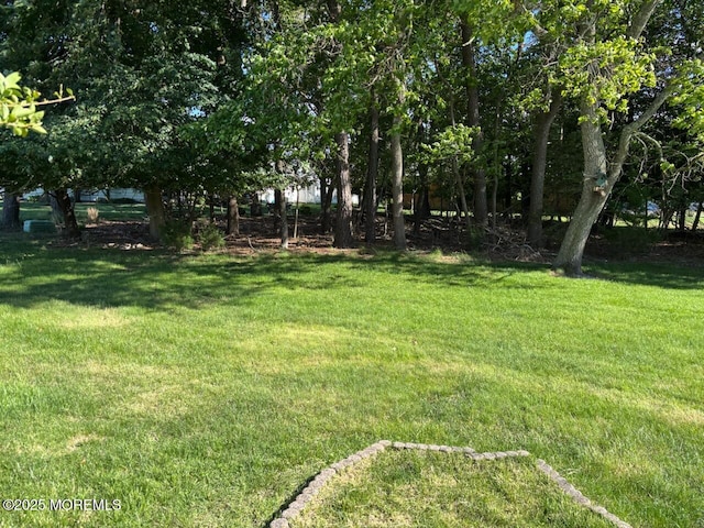 10 Monmouth Ln Unit B, Whiting, NJ 08759 - view of green lawn