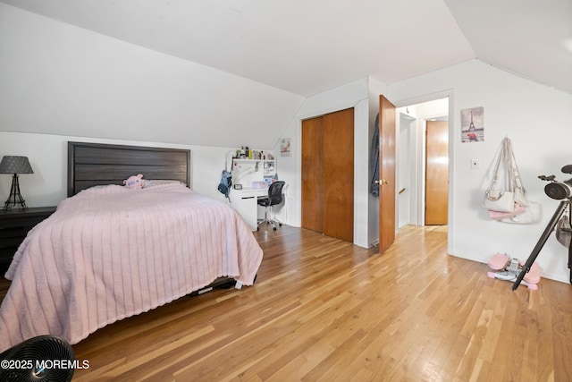 952 Stafford Dr, Toms River, NJ 08753 - bedroom with lofted ceiling, light wood-style floors, and a closet