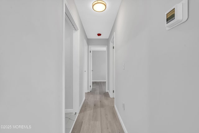 1624 Joffre Rd, Forked River, NJ 08731 - hallway with light wood-style flooring and baseboards