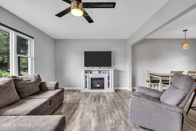 120 Lake Winnepesaukee Dr, Little Egg Harbor, NJ 08087 - living room with ceiling fan, wood finished floors, baseboards, and a glass covered fireplace