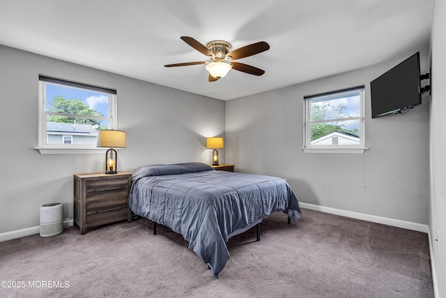 120 Lake Winnepesaukee Dr, Little Egg Harbor, NJ 08087 - carpeted bedroom with baseboards and a ceiling fan