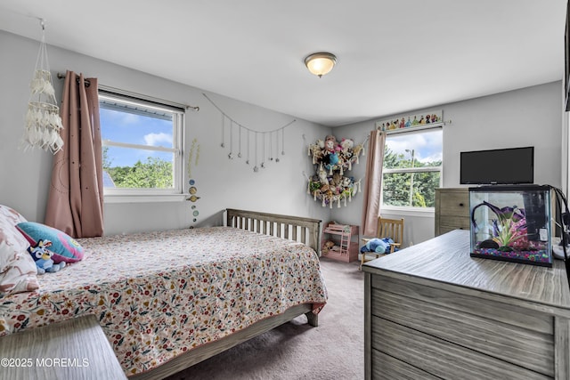 120 Lake Winnepesaukee Dr, Little Egg Harbor, NJ 08087 - bedroom with carpet floors and multiple windows