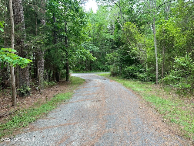 10 Hillside Ave, Tuckerton, NJ 08087 - view of road featuring a view of trees