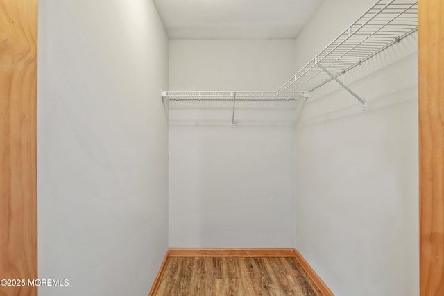 10 Hillside Ave, Tuckerton, NJ 08087 - photo 31