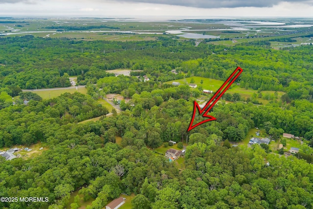 10 Hillside Ave, Tuckerton, NJ 08087 - photo 45