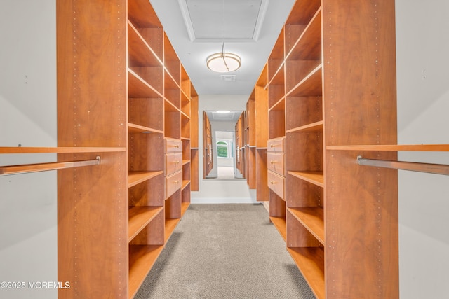 352 Leesville Rd, Jackson, NJ 08527 - walk in closet with attic access and carpet floors