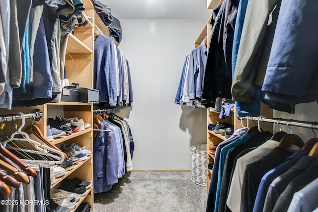 25 Merritt Ter, Matawan, NJ 07747 - spacious closet with carpet floors