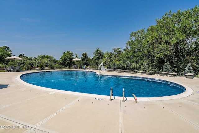 21 Gulfstream Rd, New Egypt, NJ 08533 - community pool with a patio and view of scattered trees