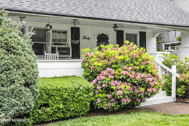 30 Balloch Pl, Red Bank, NJ 07701 - doorway to property with roof with shingles, covered porch, and cooling unit
