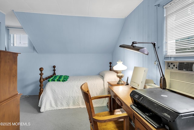 30 Balloch Pl, Red Bank, NJ 07701 - bedroom with multiple windows and vaulted ceiling