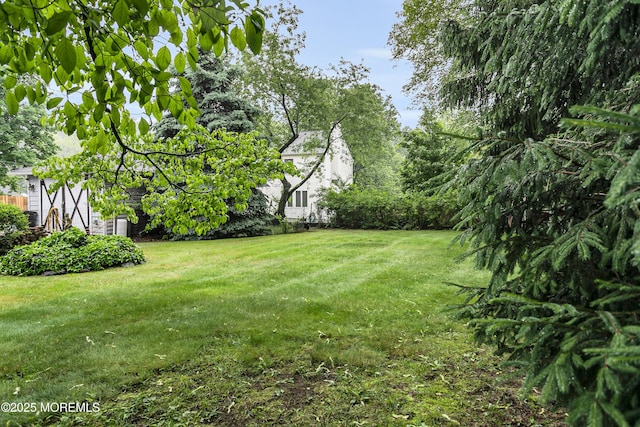 30 Balloch Pl, Red Bank, NJ 07701 - view of green lawn