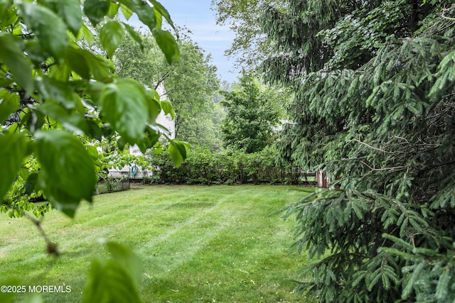 30 Balloch Pl, Red Bank, NJ 07701 - view of yard