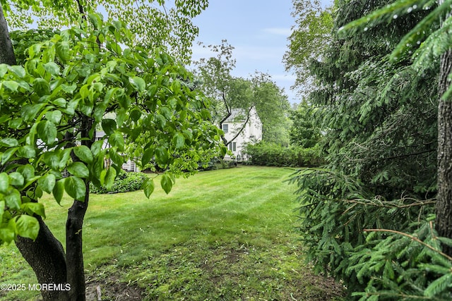 30 Balloch Pl, Red Bank, NJ 07701 - view of grassy yard