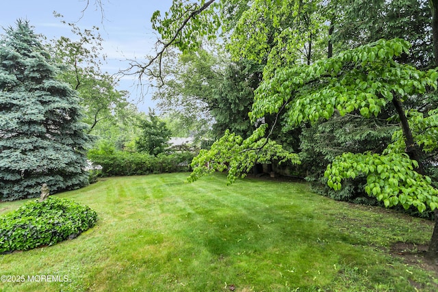 30 Balloch Pl, Red Bank, NJ 07701 - view of grassy yard