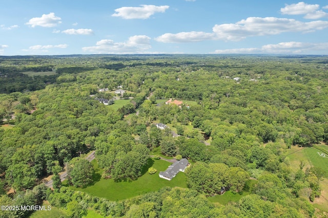 8 Olden Ct, Colts Neck, NJ 07722 - aerial view of a heavily wooded area