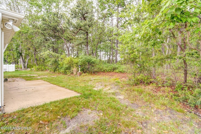 2 Thames Pl, Brick, NJ 08723 - view of grassy yard with a patio