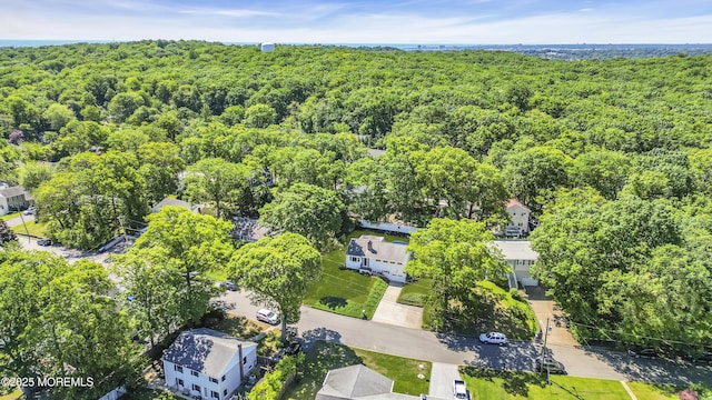162 Delaware Ave, Atlantic Highlands, NJ 07716 - bird's eye view of a forest