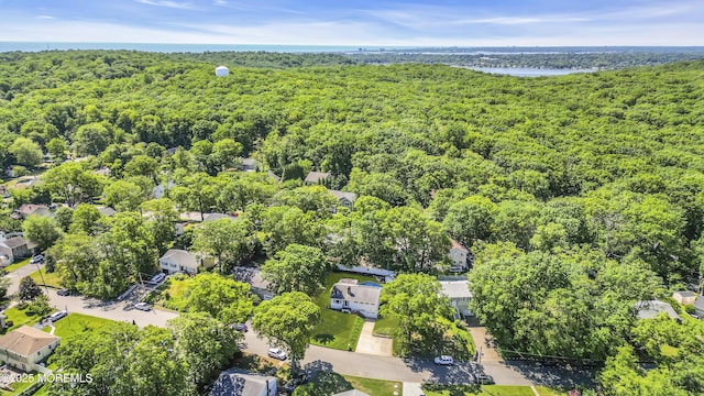 162 Delaware Ave, Atlantic Highlands, NJ 07716 - aerial view of property and surrounding area featuring a forest and a large body of water