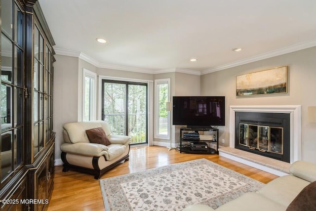 580 Patten Ave # 53, Long Branch, NJ 07740 - living area with light wood-type flooring, crown molding, a glass covered fireplace, recessed lighting, and baseboards