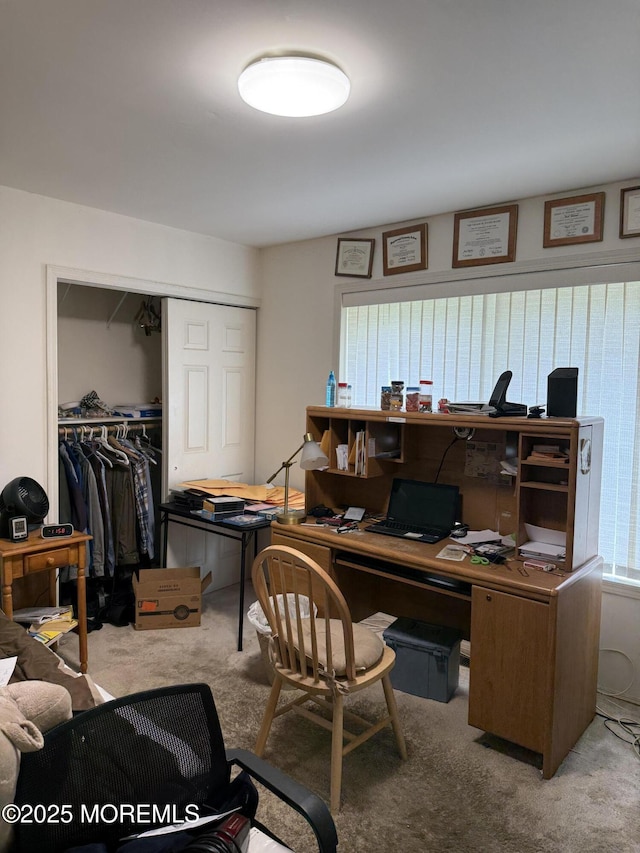 145A Concordia Cir, Monroe, NJ 08831 - view of carpeted home office