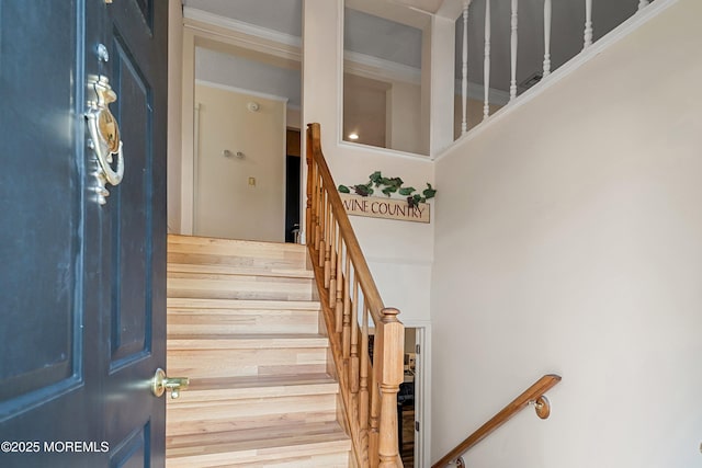 19 Elm St, Beachwood, NJ 08722 - photo 7