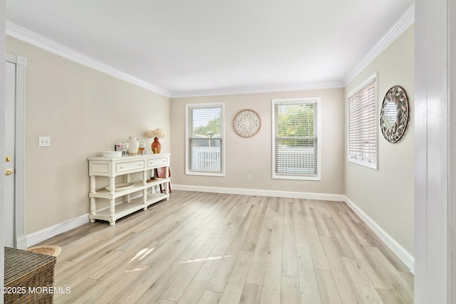 19 Elm St, Beachwood, NJ 08722 - photo 12