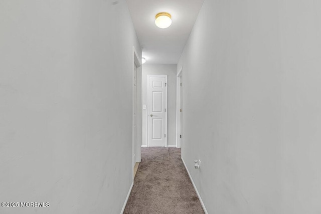1771 Calico Ln, Toms River, NJ 08753 - hall featuring carpet floors and baseboards
