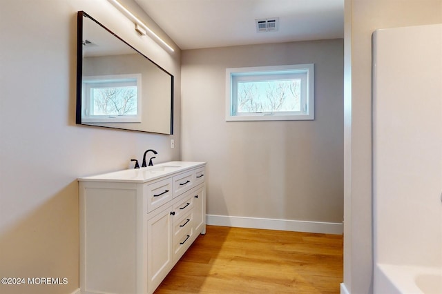 6 Lake Superior Dr, Little Egg Harbor, NJ 08087 - full bath featuring vanity, plenty of natural light, wood finished floors, and a tub to relax in