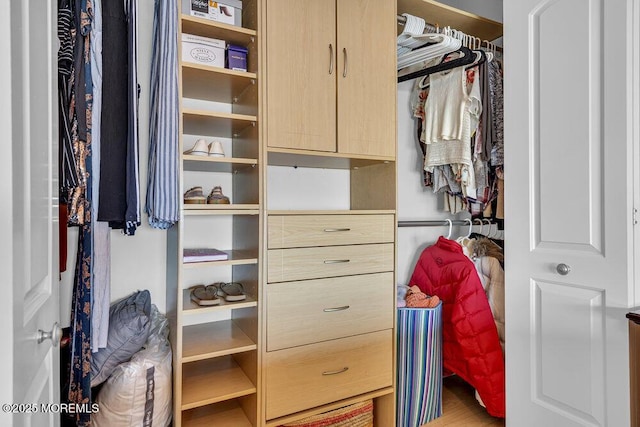 200 San Fernando Dr, Lavallette, NJ 08735 - view of closet