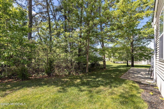 12 Stemson Ct, Little Egg Harbor, NJ 08087 - view of green lawn with a patio