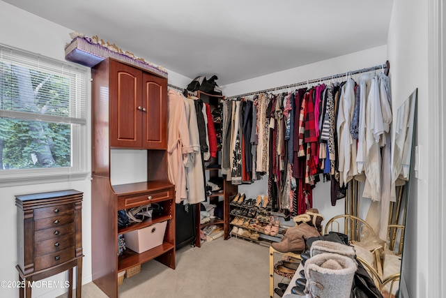 2 Miriam Dr, Matawan, NJ 07747 - walk in closet with light colored carpet