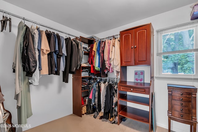 2 Miriam Dr, Matawan, NJ 07747 - view of spacious closet