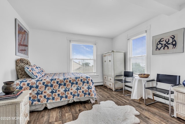 75 Portland Rd, Highlands, NJ 07732 - bedroom featuring multiple windows, wood finished floors, and a baseboard radiator