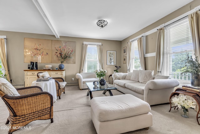 75 Portland Rd, Highlands, NJ 07732 - living room featuring light colored carpet, baseboard heating, beam ceiling, and a baseboard heating unit