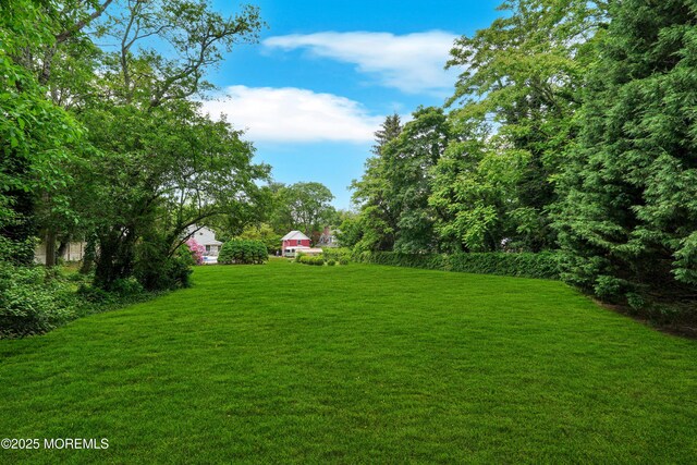 2230 Ramshorn Dr, Allenwood, NJ 08720 - photo 42