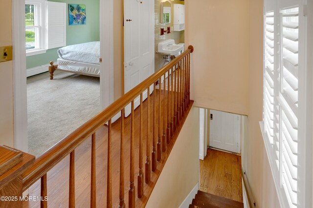 2230 Ramshorn Dr, Allenwood, NJ 08720 - photo 33