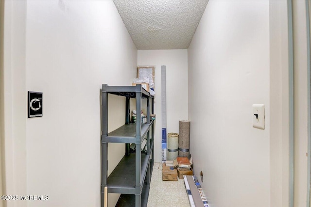 5-3 Portland Ct, Freehold, NJ 07728 - view of storage area