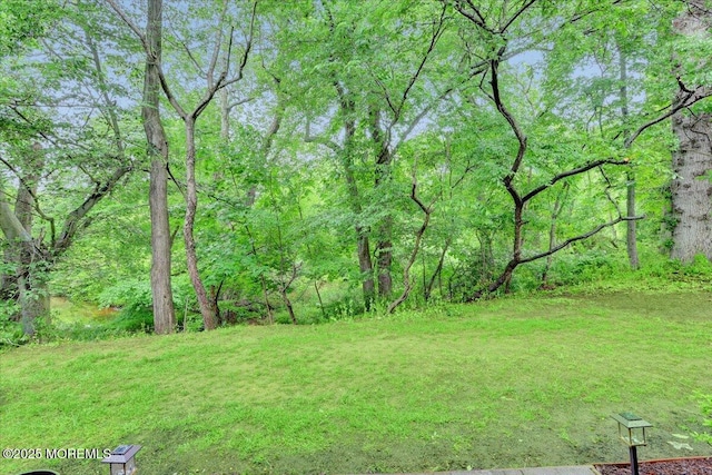 5-3 Portland Ct, Freehold, NJ 07728 - view of yard with a forest view