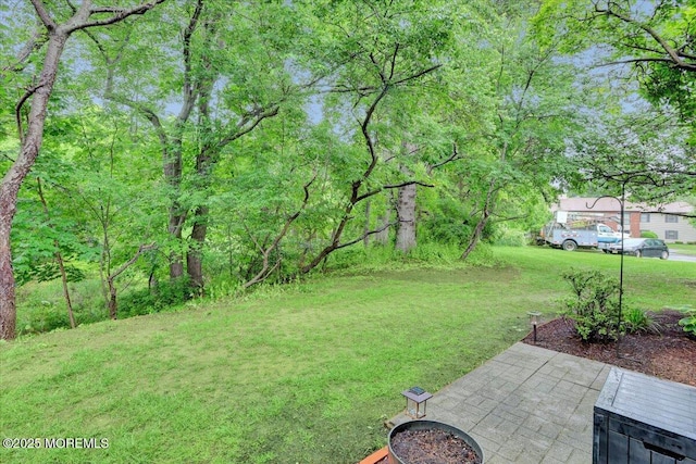 5-3 Portland Ct, Freehold, NJ 07728 - view of green lawn