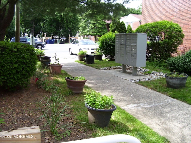 364 Westwood Ave Unit 12, Long Branch, NJ 07740 - surrounding community featuring mail area