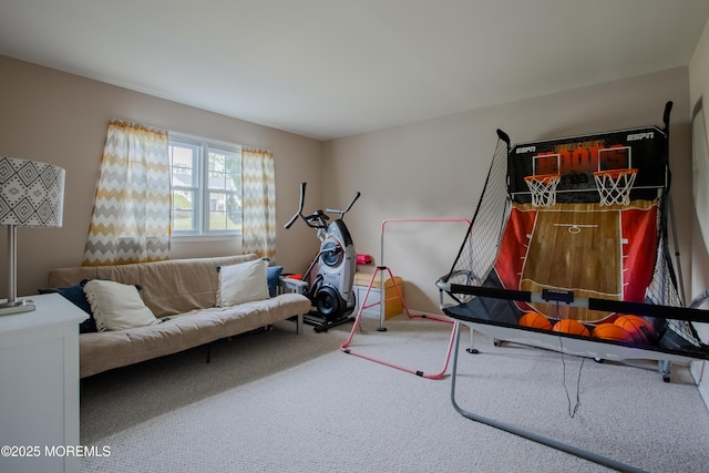20 Koosman Dr, Leonardo, NJ 07737 - playroom with carpet flooring