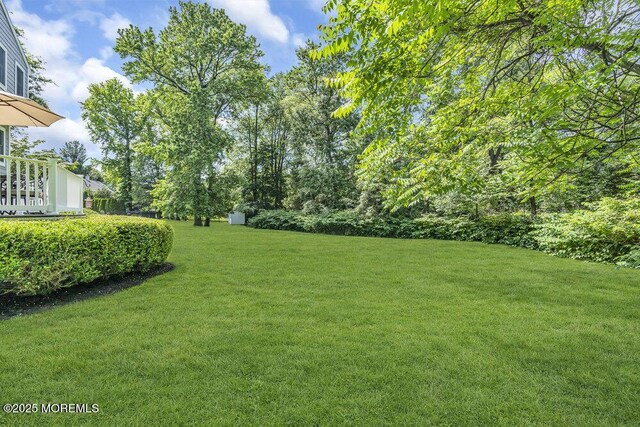 71 Maple Ave, Little Silver, NJ 07739 - view of green lawn
