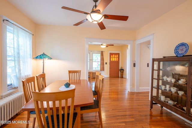 228 Albert Pl, Elberon, NJ 07740 - dining room featuring radiator heating unit, a ceiling fan, wood finished floors, and baseboards