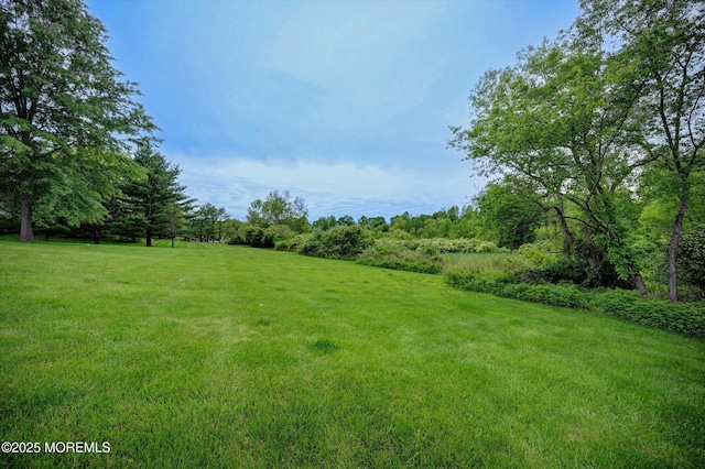 2 Hampton Hollow Dr, Perrineville, NJ 08535 - view of grassy yard