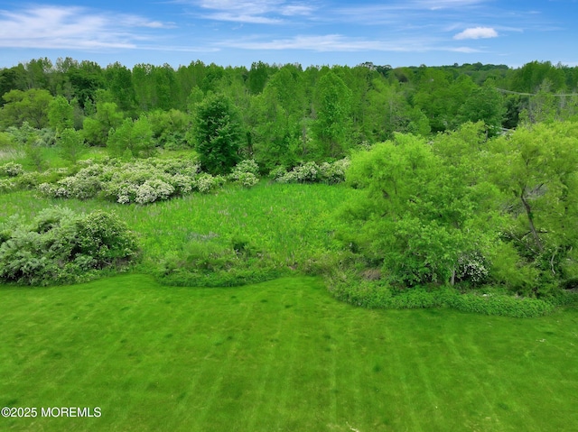 2 Hampton Hollow Dr, Perrineville, NJ 08535 - view of yard