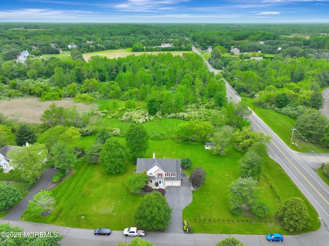 2 Hampton Hollow Dr, Perrineville, NJ 08535 - drone / aerial view