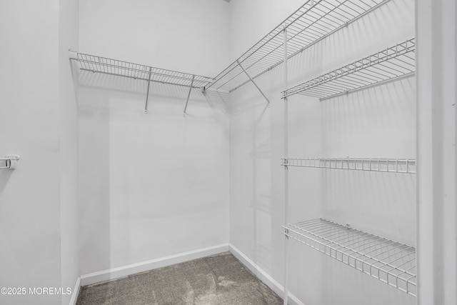 52 Pate Dr, Middletown, NJ 07748 - spacious closet with carpet floors
