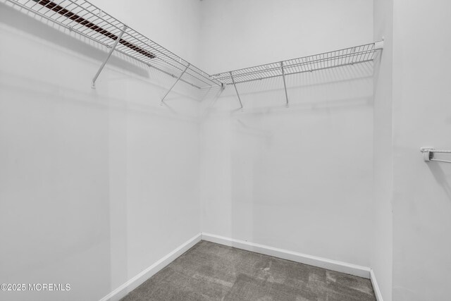 52 Pate Dr, Middletown, NJ 07748 - spacious closet with carpet flooring