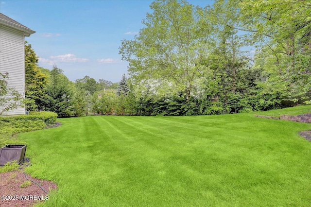 11 Hemingway Ct, Morganville, NJ 07751